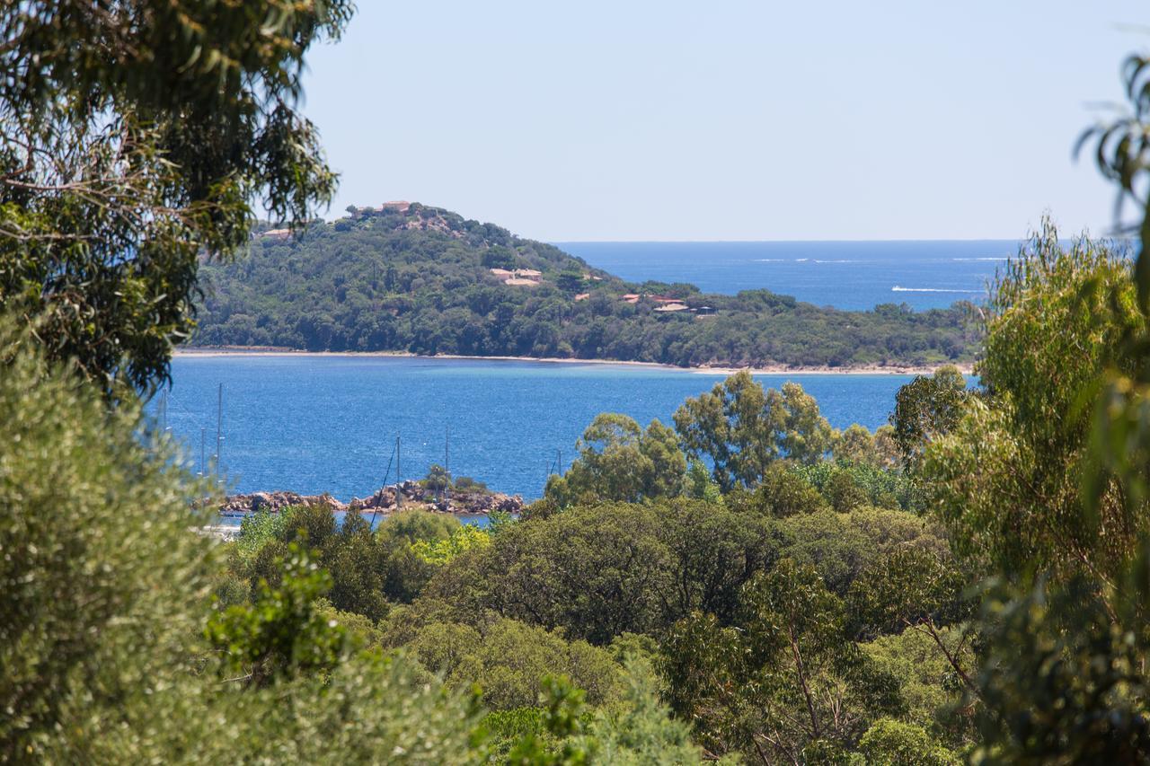 Royal Palm Porto-Vecchio (Corsica) Exterior foto